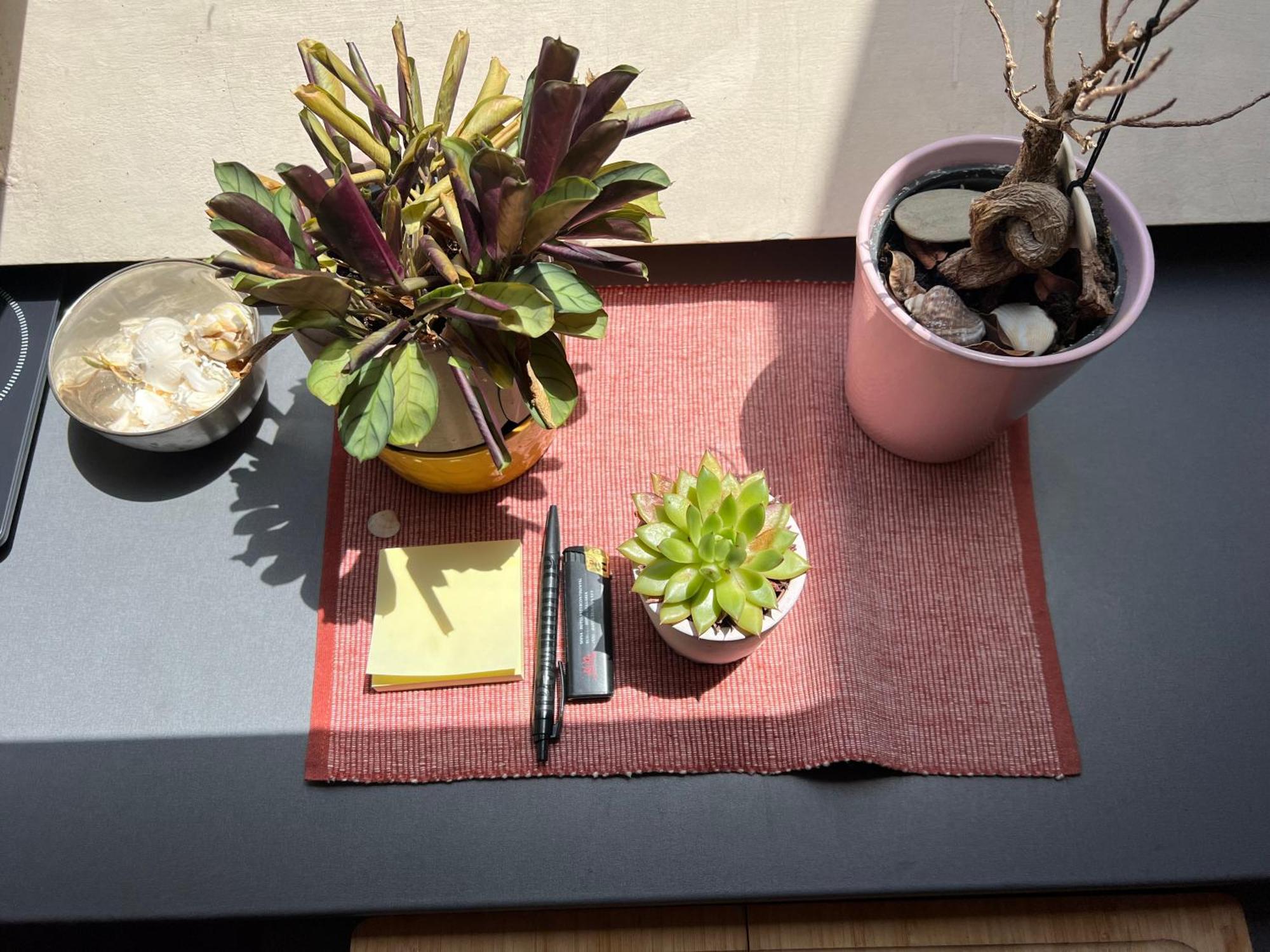 Cosy Rooftop In Center 索菲亞 外观 照片